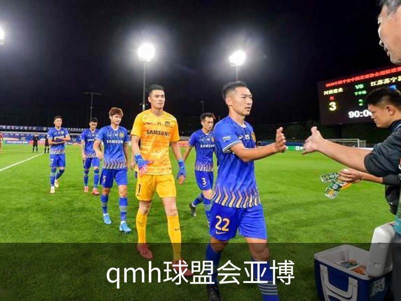 了解qmh球盟会亚博